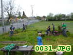 Picture 0031