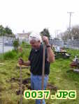 Picture 0037