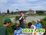 Picture 0039