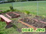 Picture 0042