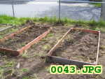 Picture 0043