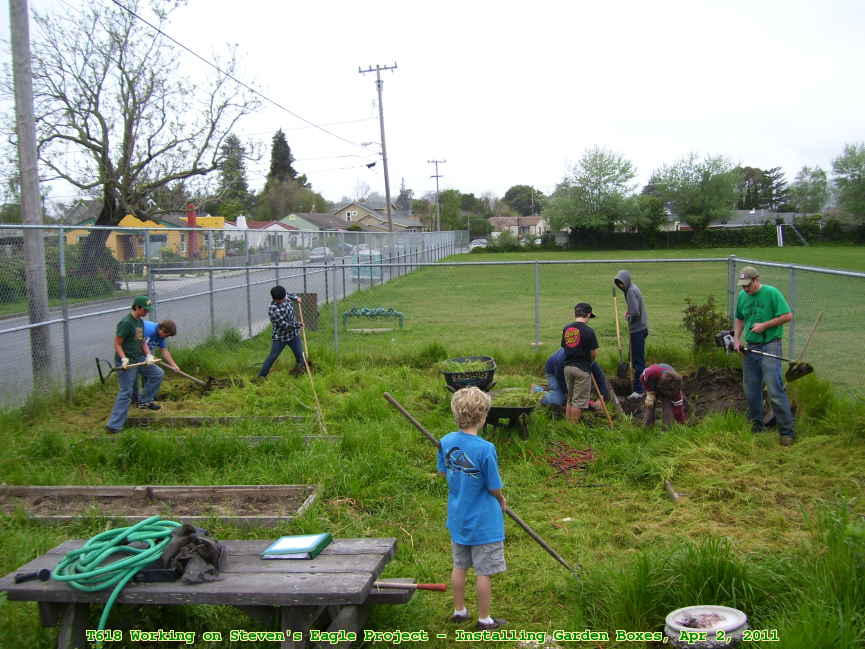 Picture 0031