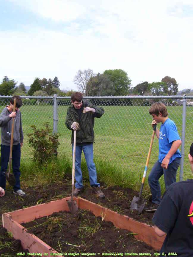 Picture 0038