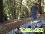 Picture 0012