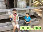 Picture 0030