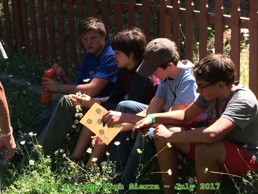 Picture 0052