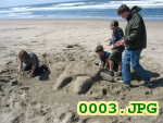 Picture 0003
