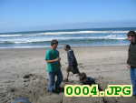 Picture 0004