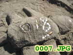 Picture 0007