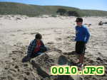 Picture 0010
