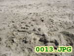 Picture 0013