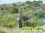 Picture 0024