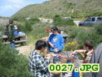 Picture 0027