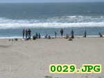 Picture 0029