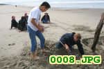 Picture 0008