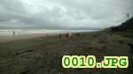 Picture 0010