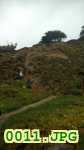 Picture 0011