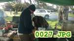 Picture 0027
