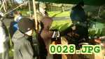 Picture 0028