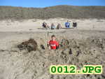 Picture 0012