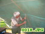 Picture 0018