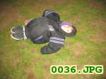 Picture 0036