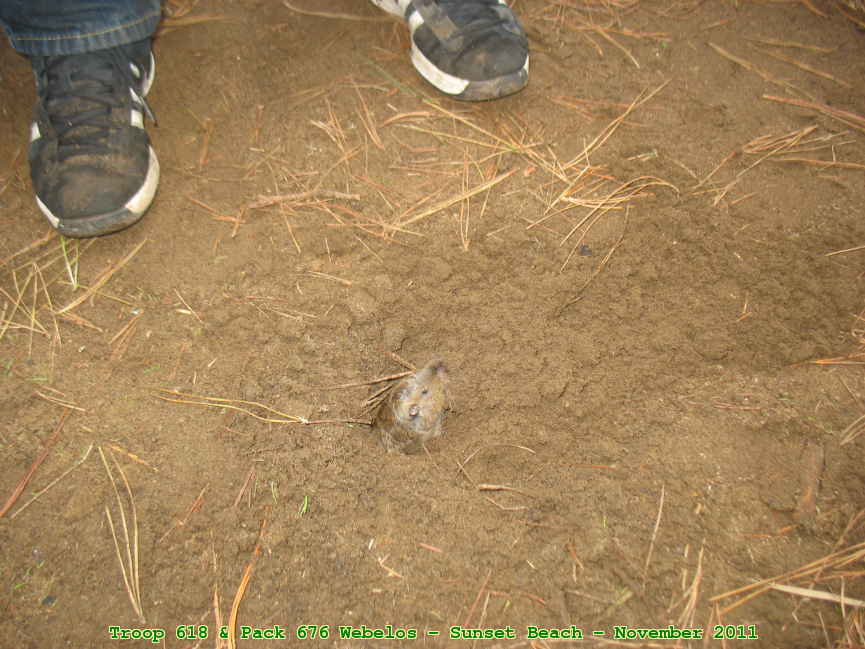 Picture 0054