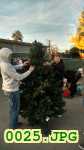 Picture 0025