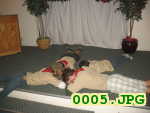 Picture 0005