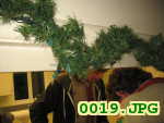 Picture 0019