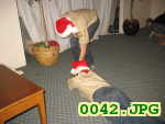 Picture 0042