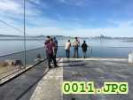 Picture 0011