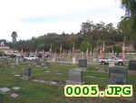 Picture 0005