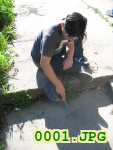 Picture 0001