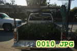 Picture 0010