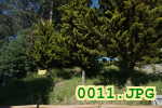 Picture 0011