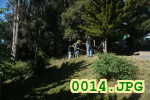 Picture 0014