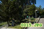 Picture 0015