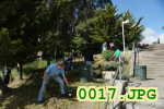 Picture 0017