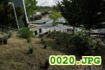 Picture 0020