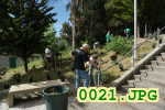 Picture 0021