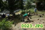 Picture 0023