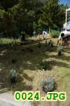 Picture 0024