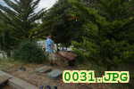 Picture 0031