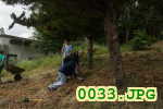 Picture 0033