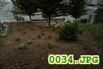 Picture 0034