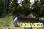 Picture 0037