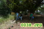 Picture 0038