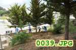 Picture 0039