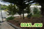 Picture 0045